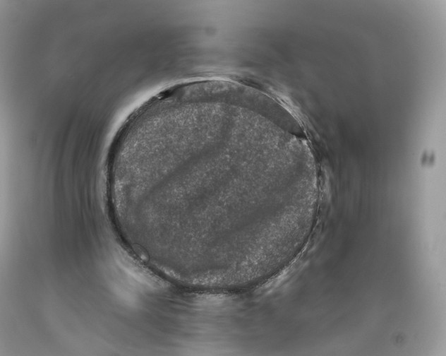 X0000091550342200709141520