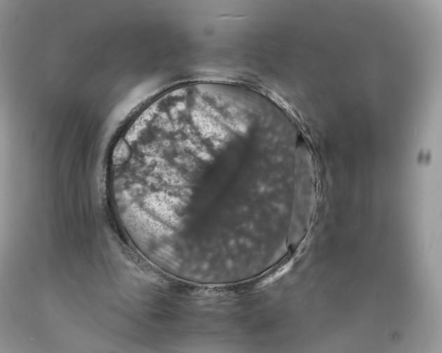 X0000091550343200709141520