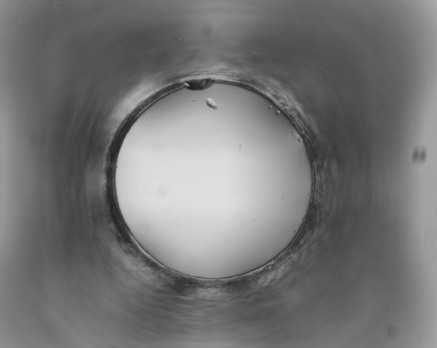 X0000091550344200709141520