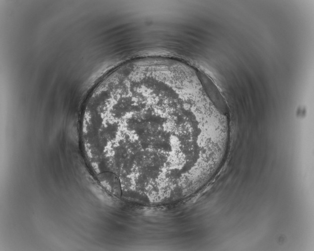 X0000091550345200709141520