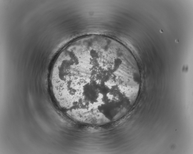 X0000091550346200709141520