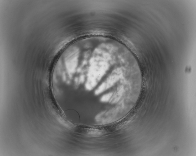 X0000091550347200709141520