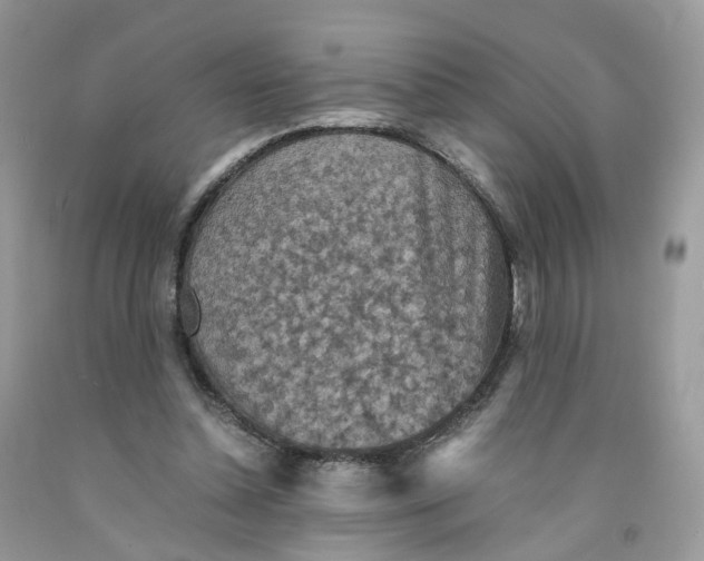 X0000091550348200709141520