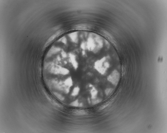 X0000091550349200709141520