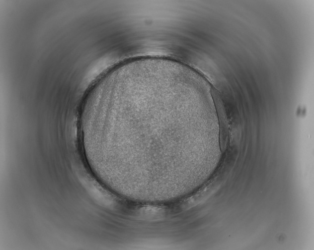 X0000091550350200709141520