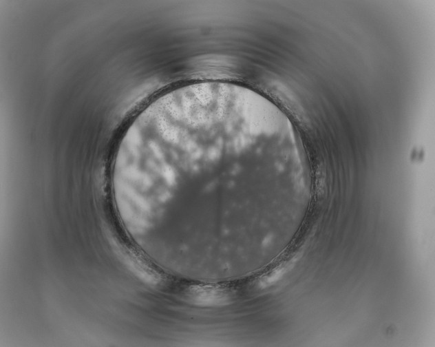 X0000091550351200709141520