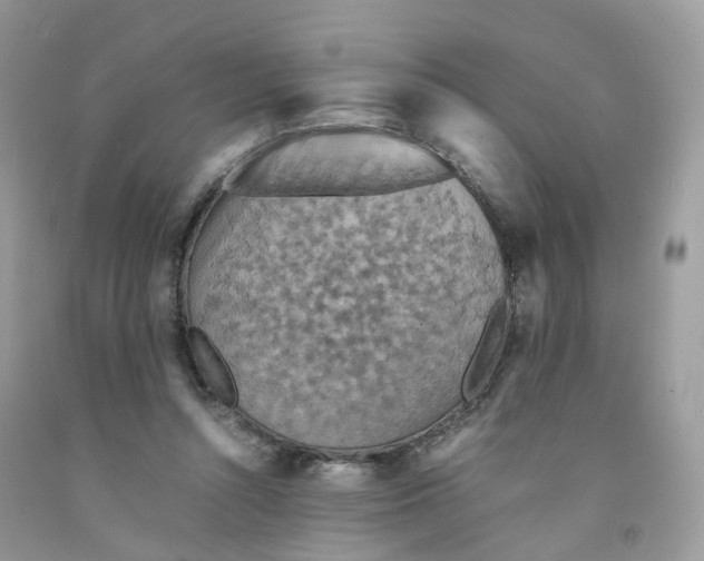 X0000091550352200709141520