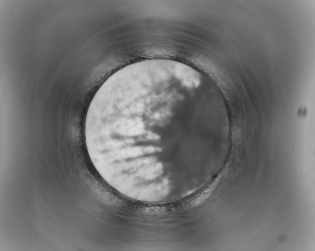 X0000091550353200709141520