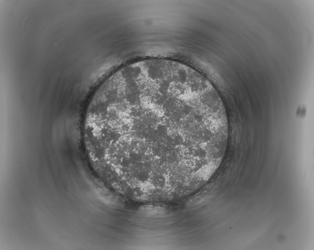 X0000091550354200709141520