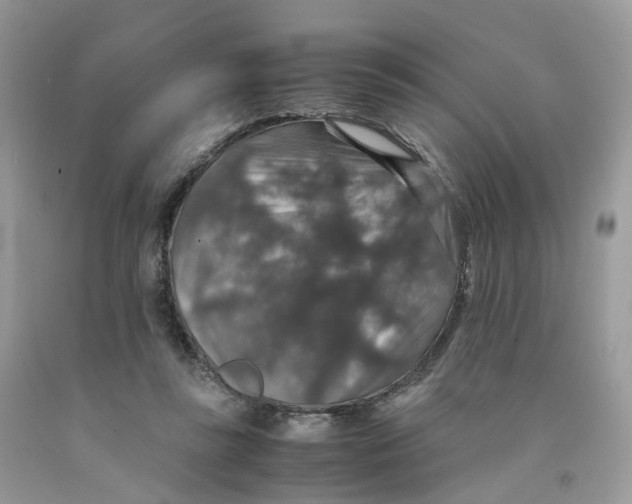 X0000091550355200709141520