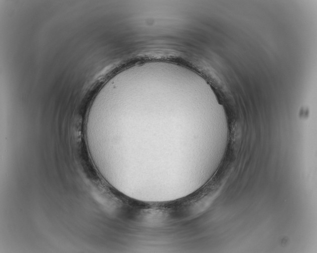 X0000091550356200709141520