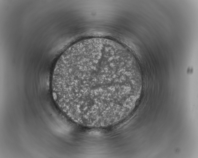 X0000091550358200709141520