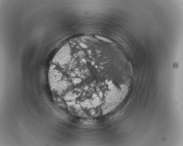 X0000091550359200709141520