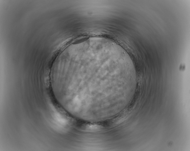 X0000091550360200709141520