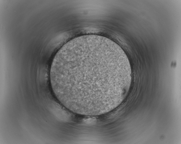 X0000091550362200709141520