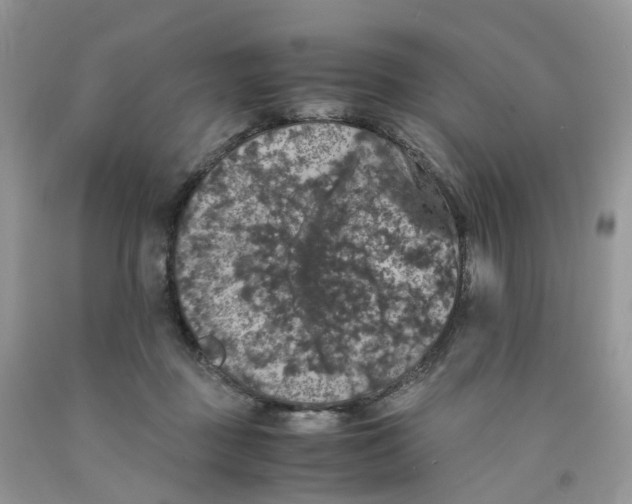 X0000091550363200709141520