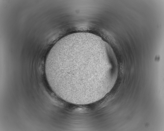 X0000091550364200709141520