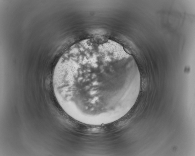 X0000091550365200709141520