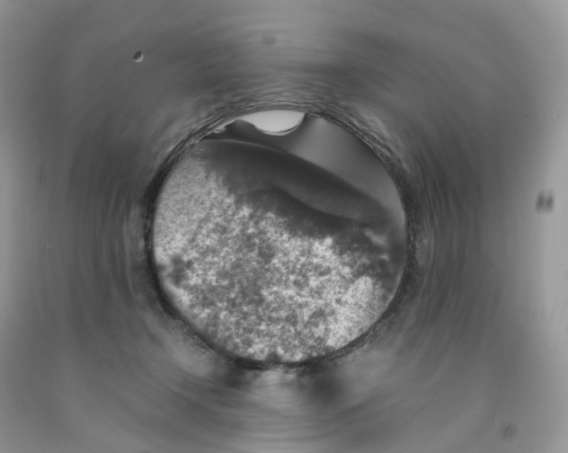 X0000091550366200709141520