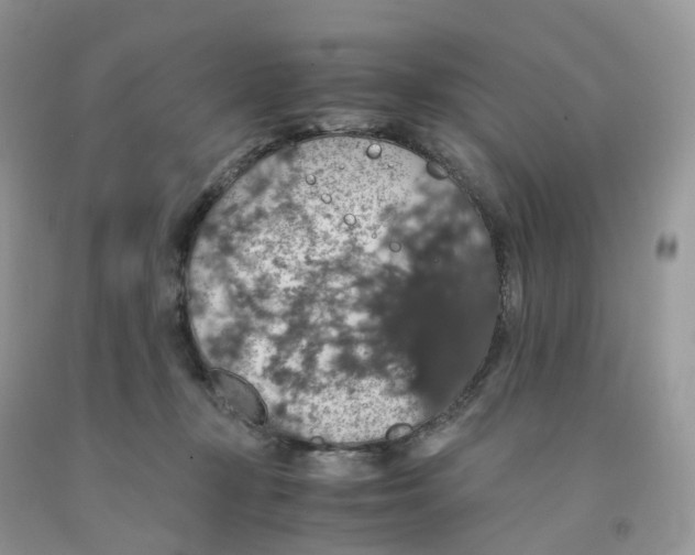 X0000091550367200709141520