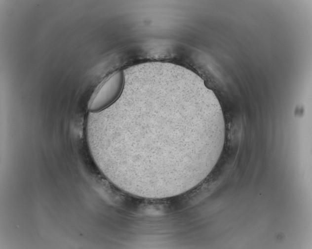 X0000091550368200709141520