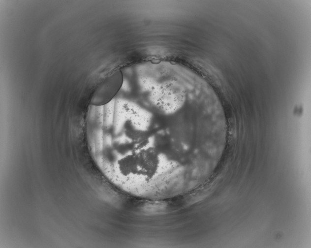 X0000091550369200709141520