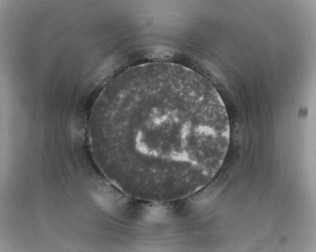 X0000091550370200709141520