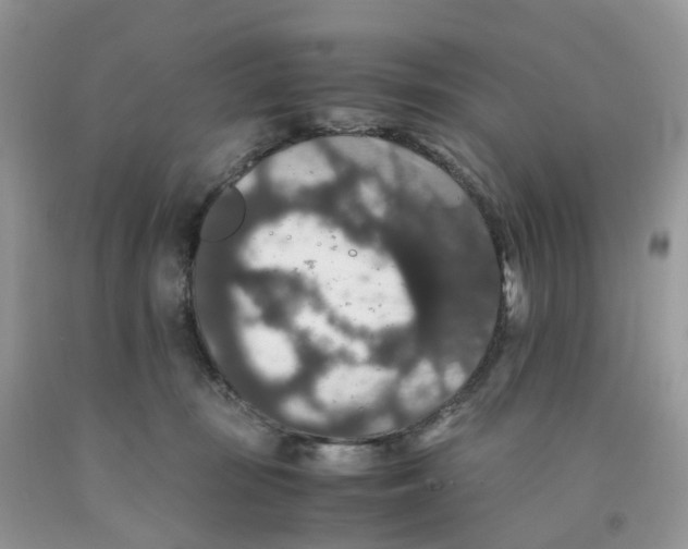 X0000091550371200709141520