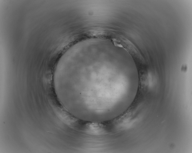 X0000091550372200709141520