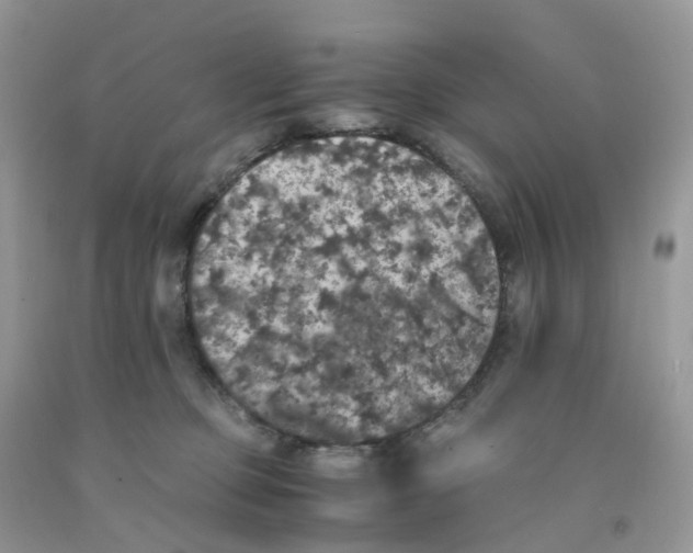 X0000091550373200709141520