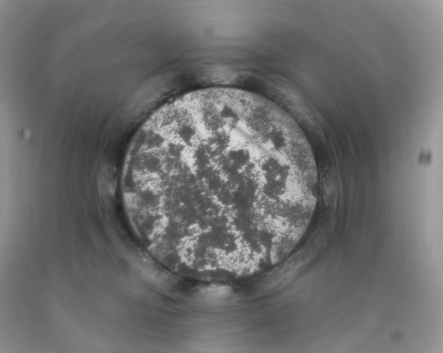 X0000091550374200709141520