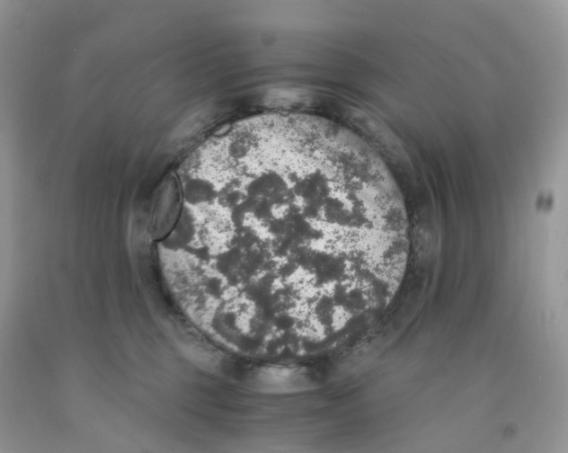 X0000091550375200709141520