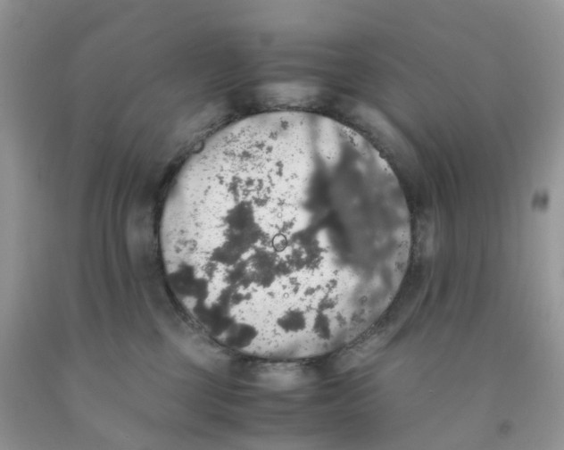 X0000091550377200709141520