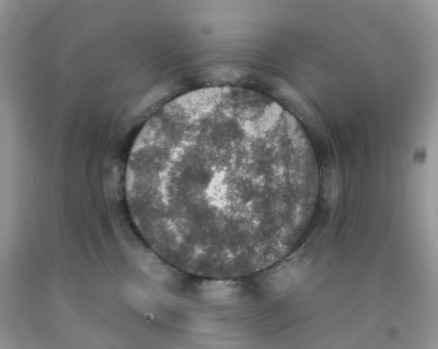 X0000091550378200709141521