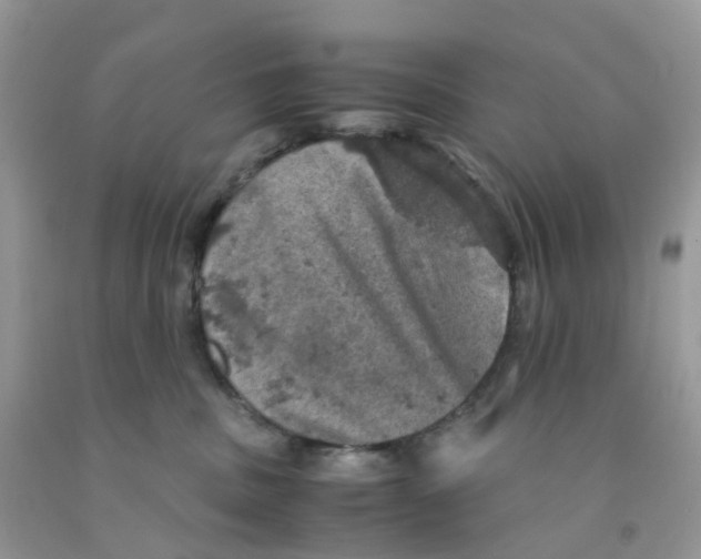 X0000091550379200709141521