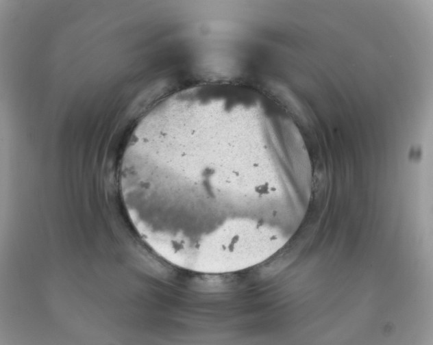 X0000091550381200709141521