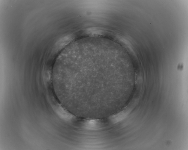 X0000091550382200709141521