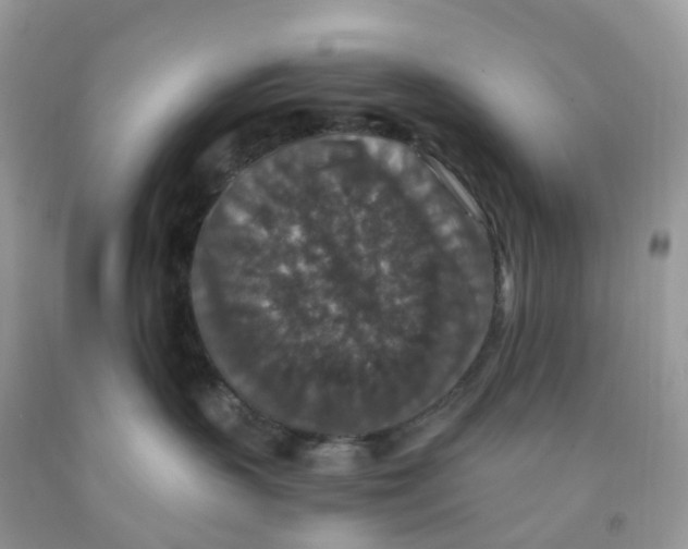 X0000091550383200709141521