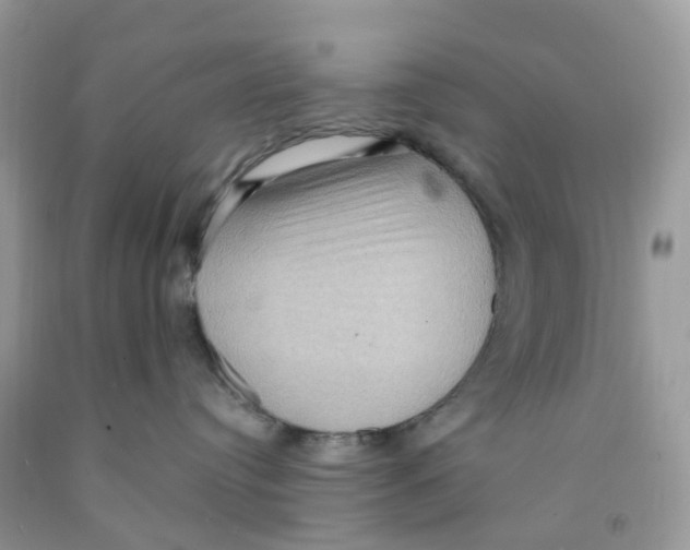 X0000091550384200709141521