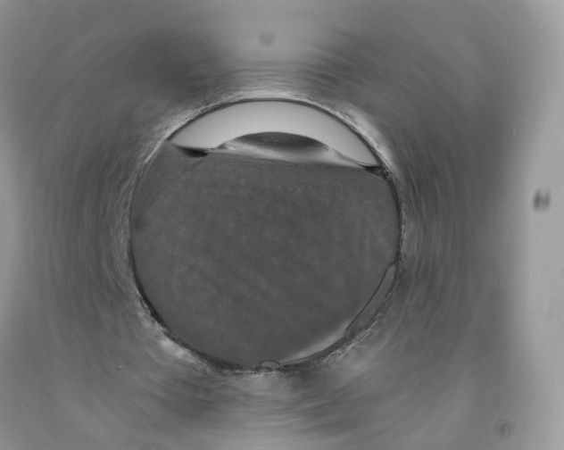 X0000091550385200709141520