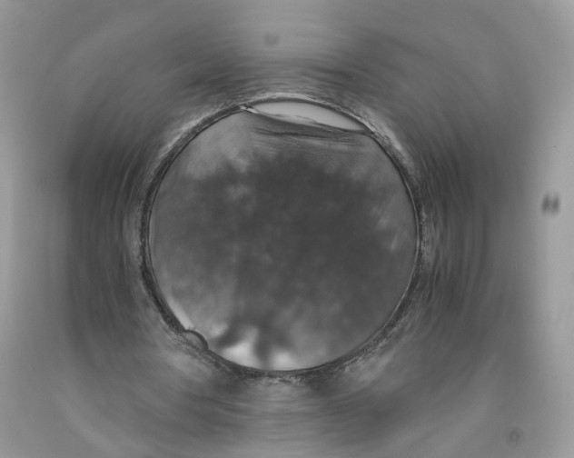 X0000091550386200709141520