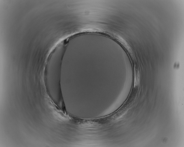 X0000091550387200709141520