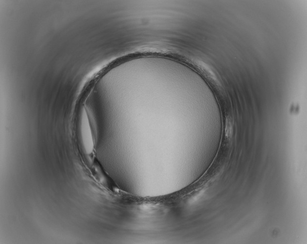 X0000091550388200709141520