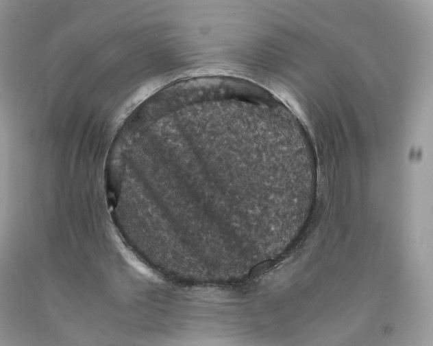 X0000091550389200709141520