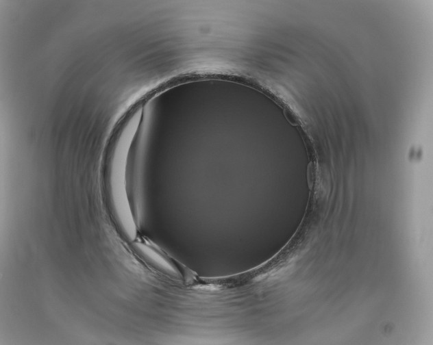 X0000091550391200709141520