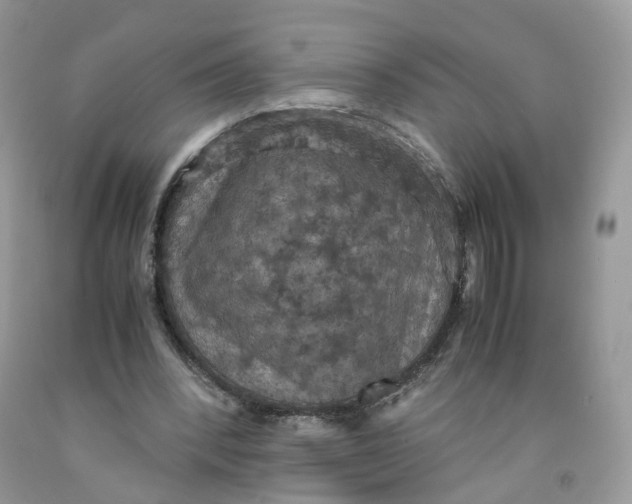 X0000091550392200709141520