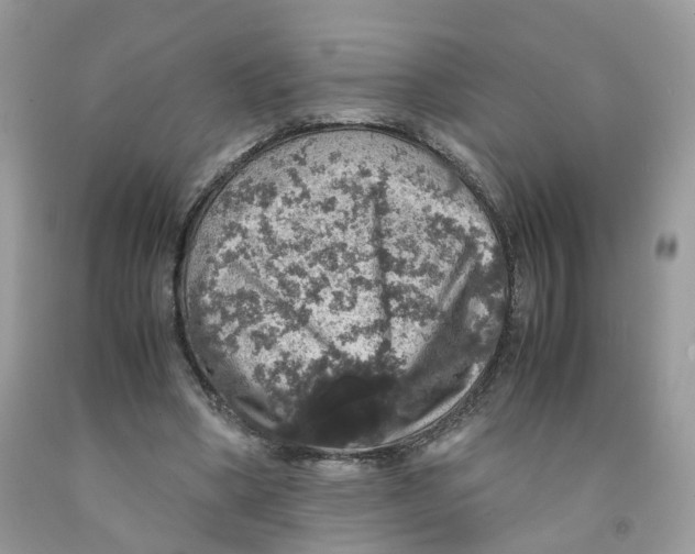 X0000091550394200709141520