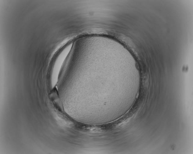 X0000091550395200709141520