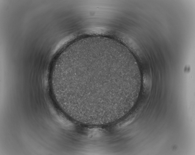 X0000091550396200709141520