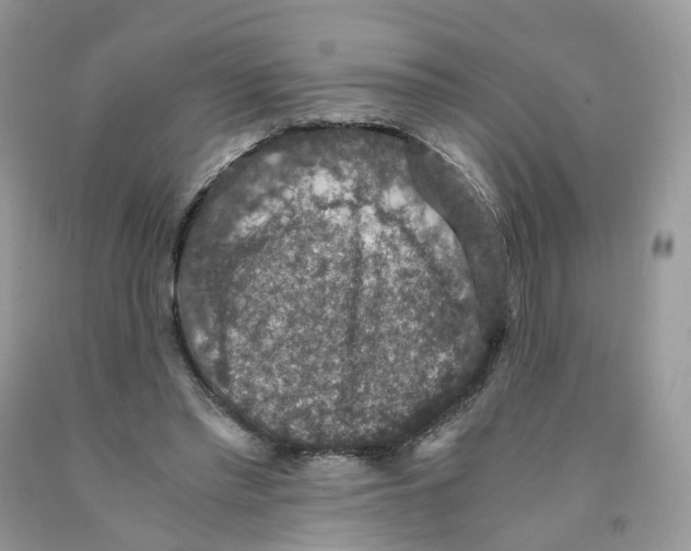 X0000091550397200709141520